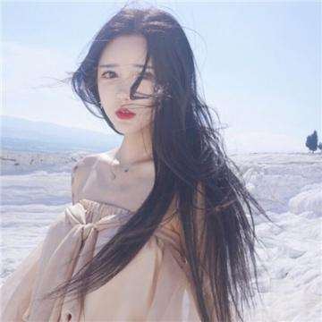 加拿大pc软件平台手机app下载